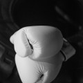 Pro Training Boxing Gloves Pro Training Boxing Gloves