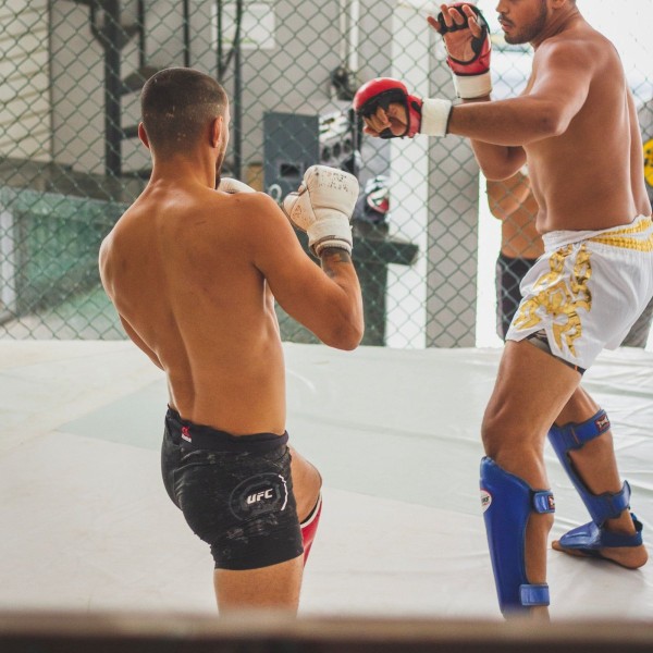 MMA Fight Shorts